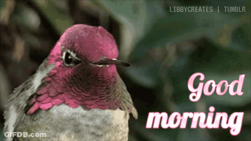 Coffee Donut Beach Ball Go Morning GIF