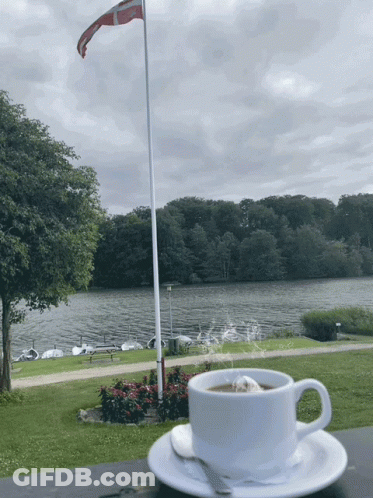 Coffee On Saucer In Front Of Flag And Lake GIF