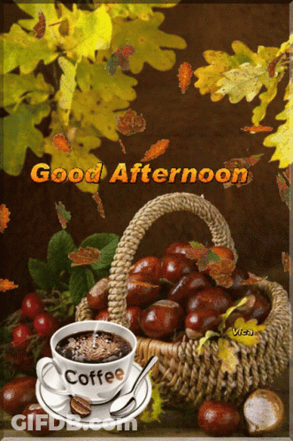 Coffee On Saucer Next To Chestnuts Good Afternoon GIF