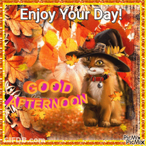 Coffee On Saucer Next To Chestnuts Saying Good Afternoon GIF