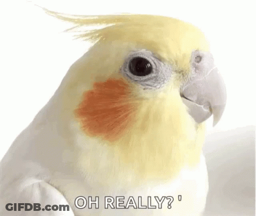 Coffee On Stack Of Books Saying Good Morning GIF