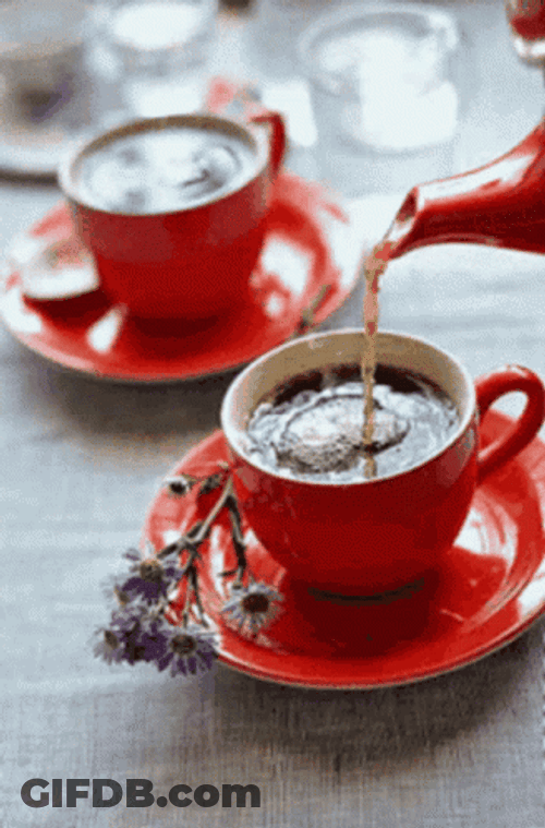 Coffee Time With Flower In Red Cup GIF