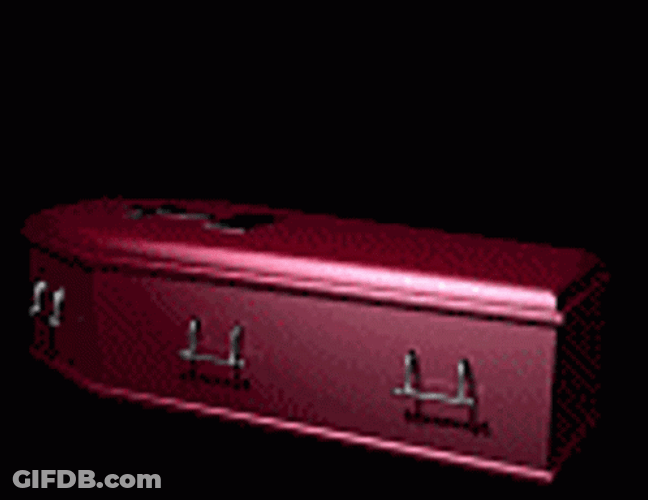 Coffin Animated Skeleton Get Up GIF
