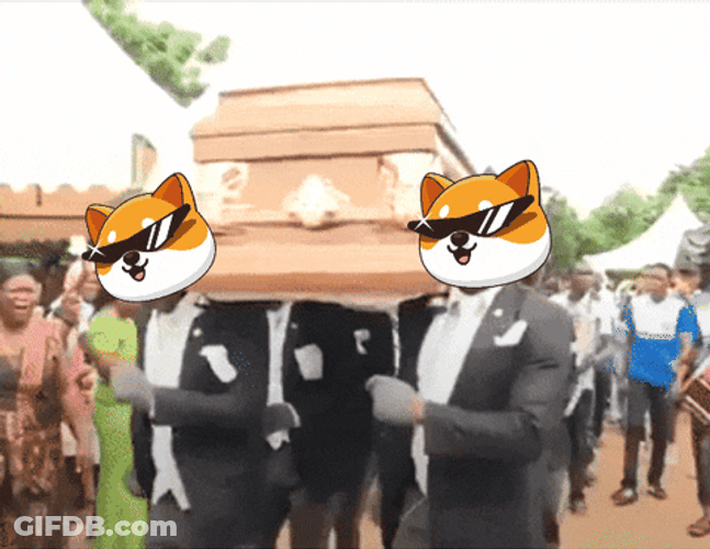 Coffin Dance Dancers With Cat Face On GIF