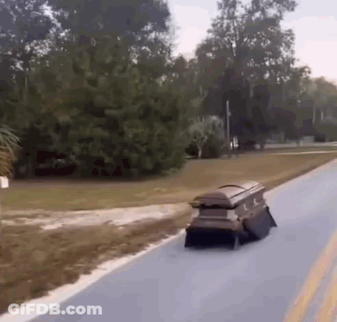 Coffin Driving Down Road Beside Trees GIF