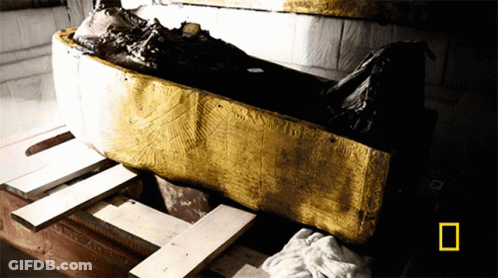 Coffin With National Geographic Logo GIF