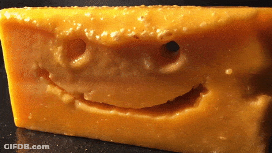 Colby Jack Cheese Melt GIF