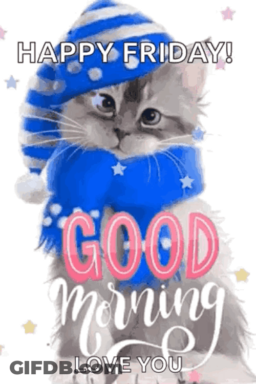 Cold Cat Happy Friday Meme GIF
