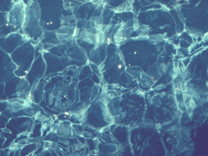 Cold Pool Water Ripples GIF