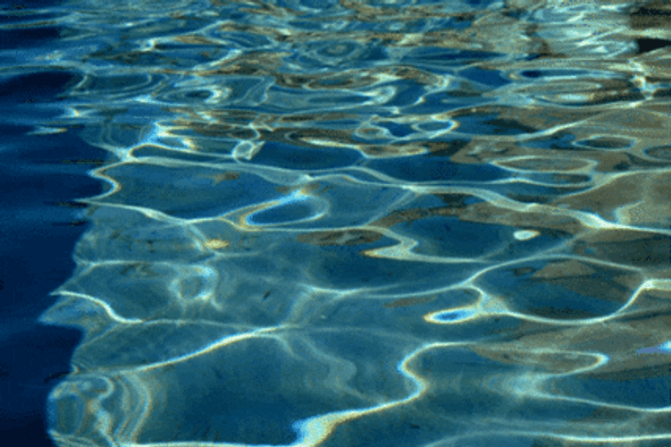 Cold Water Ripples Waves GIF