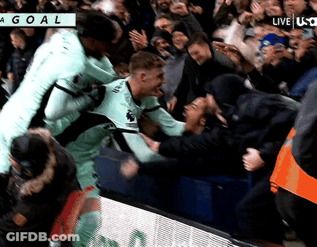 Cole Palmer Chelsea Fans GIF
