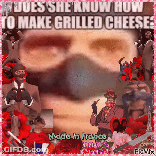 Collage Does She Know How To Make Grilled Cheese GIF