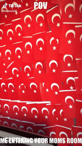 Collage Of Flags With Caption Me Entering Your Moms Room GIF