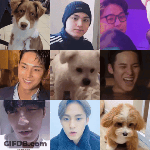 Collage Of Man And Dog Saying Supreme GIF