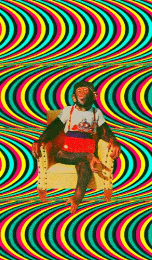 Collage Psychedelic Monkey Art GIF