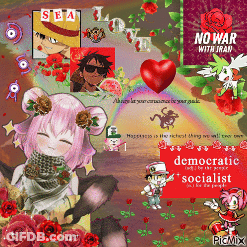 Collage Saying Democratic Socialist GIF