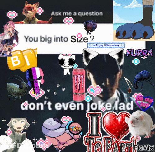 Collage Saying I Love To Fart GIF