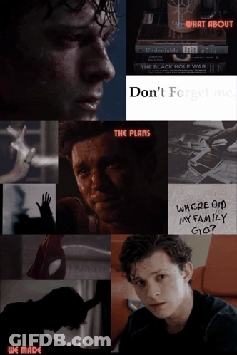 Collage Saying What About GIF