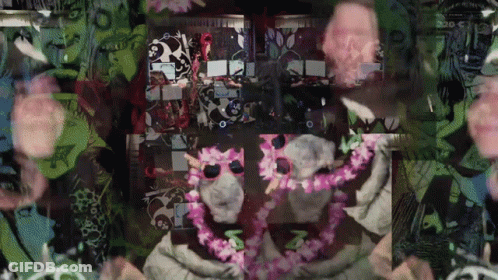 Collage With N GIF