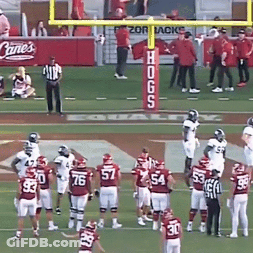 College Football Arkansas Razorbacks GIF