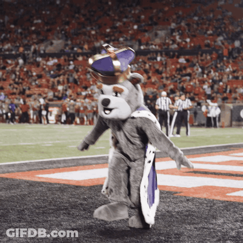 College Football Duke Dog GIF