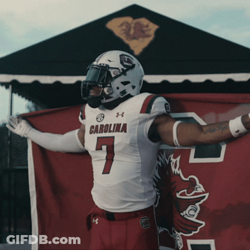 College Football South Carolina Gamecocks GIF