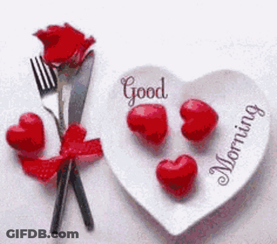Color Change Good Morning Rose GIF