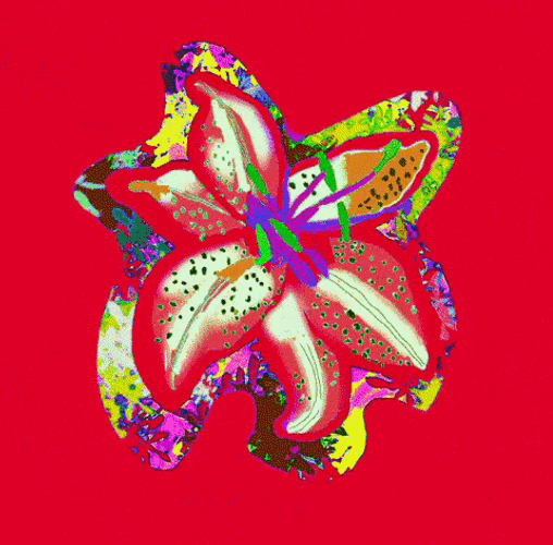 Color Changing Elemental Flower Digital Art GIF