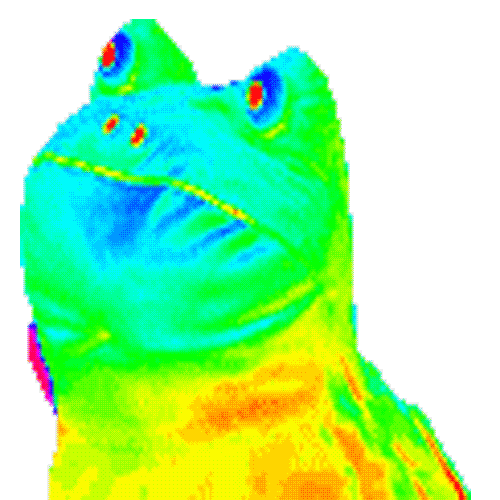 Color Changing Lizard Dancing Head Roll GIF