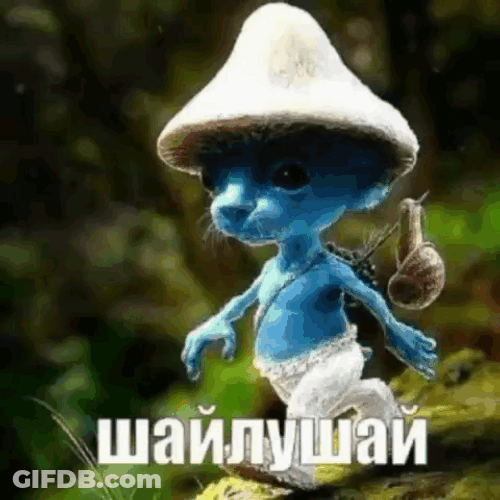 Color Evolution Smurf Cat Meme GIF