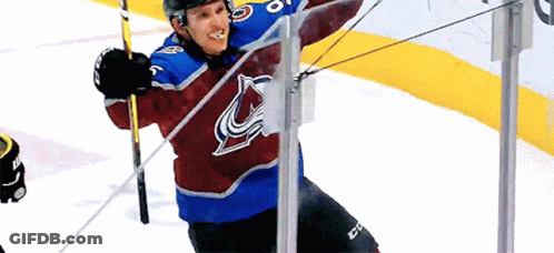 Colorado Avalanche Hockey Player Holding Stick GIF
