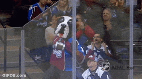 Colorado Avalanche Mascot In Stands GIF