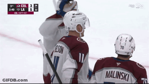 Colorado Vs LA Hockey Game GIF