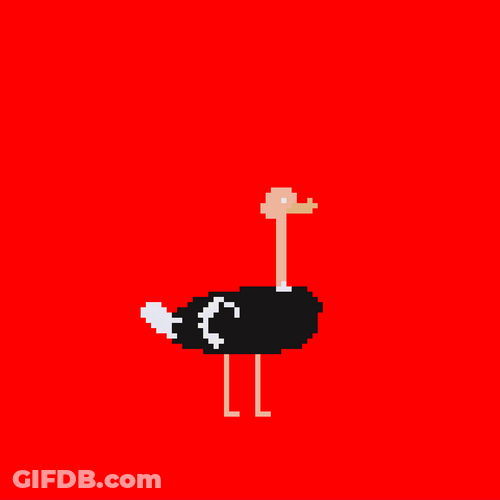 Colored Flashing Lights Ostrich GIF