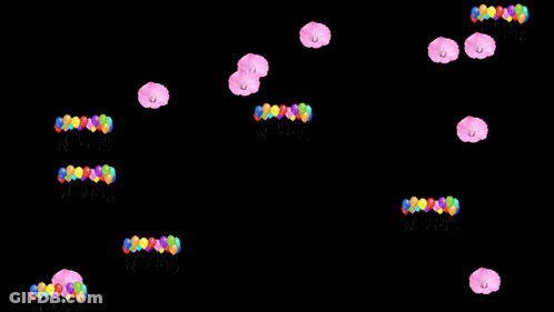 Colorful Balloons Floating GIF