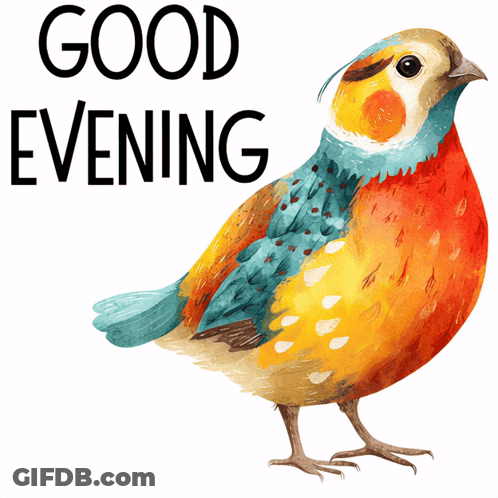 Colorful Bird Saying Good Evening GIF