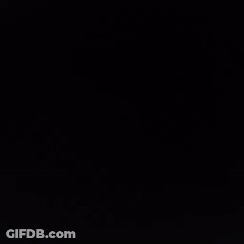 Colorful Birds On Black Background GIF