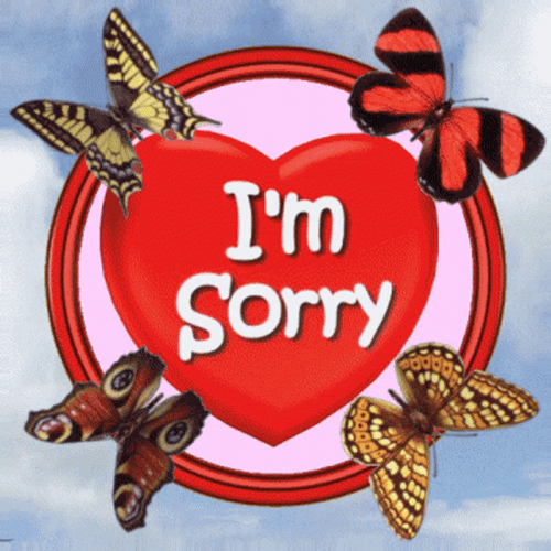 Colorful Butterflies I Am Sorry GIF