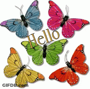 Colorful Butterflies Saying Hello GIF