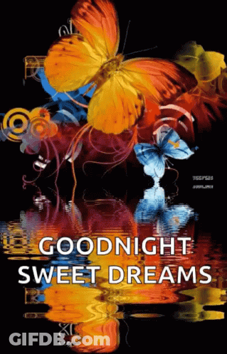 Colorful Butterfly Goodnight Sweet Dreams GIF