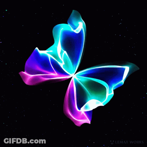Colorful Butterfly On Black Background With Lemat Works GIF