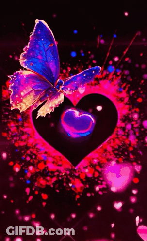Colorful Butterfly Sitting On Pink Heart GIF