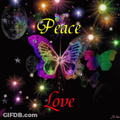 Colorful Butterfly Surrounded By Lights Peace Love GIF