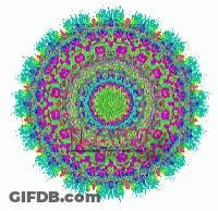 Colorful Circular Pattern With Green Center GIF