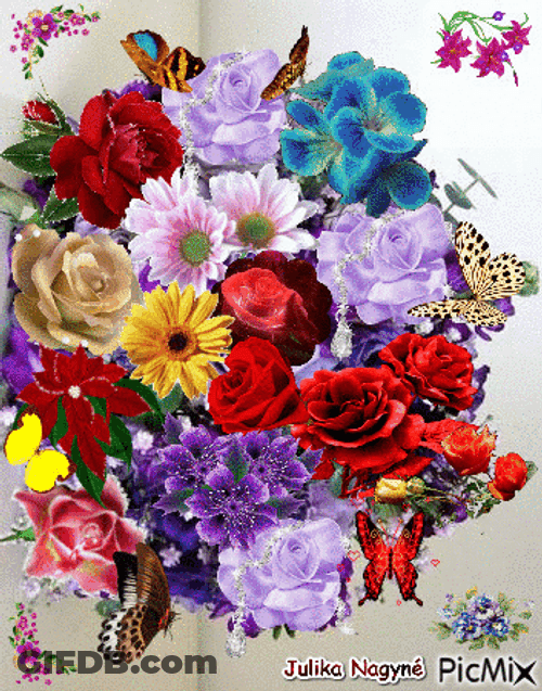 Colorful Different Beautiful Flowers Butterflies GIF