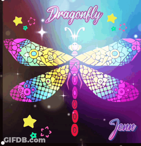 Colorful Dragonfly With Dragonfly Jenn GIF