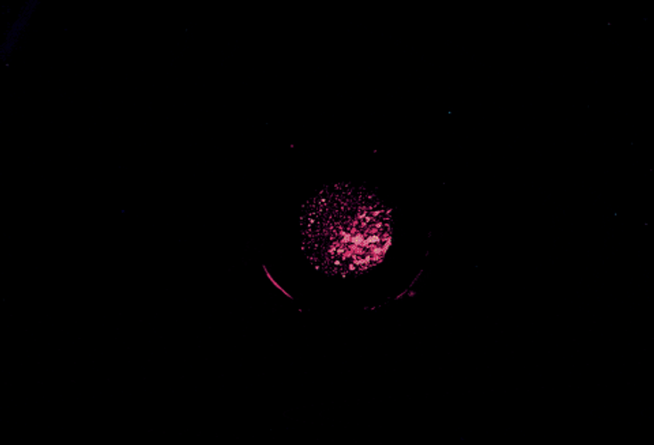 Colorful Dust Art GIF