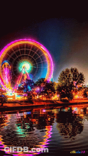 Colorful Ferris Wheel Reflected In Water At Night GIF