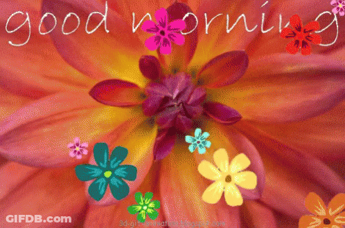 Colorful Flower Good Morning GIF