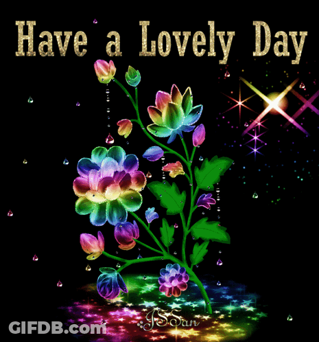 Colorful Flower Have A Lovely Day GIF